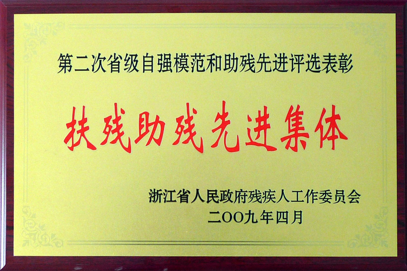 2009年江浙省障害者先進集団